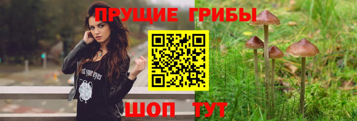 Псилоцибиновые грибы мухоморы Джанкой